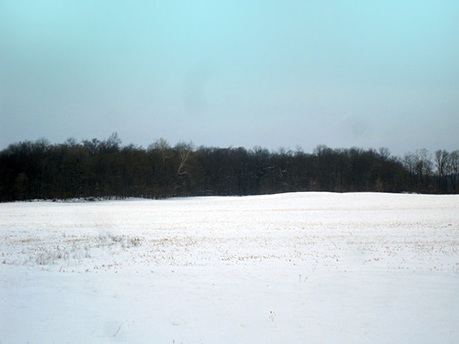 INDIANA LAND AUCTION, 234+/- Acres offered in 6 Tracts